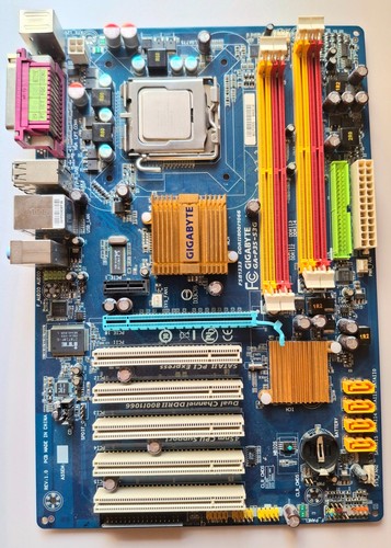 Scheda madre gigabyte - scheda,