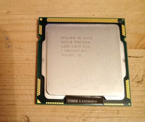 Processeur intel pentium g6950 - processeur,